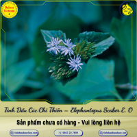 tinh-dau-cuc-chi-thien-elephantopus-scaber-essential-oil-1-lit - ảnh nhỏ  1